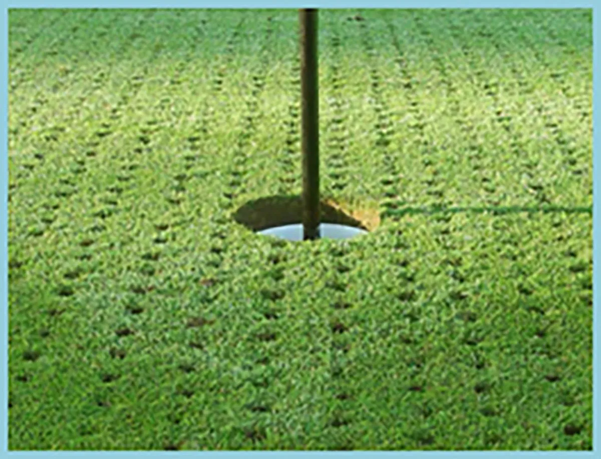 Qu'est ce que le carottage d'un Green de Golf ?
