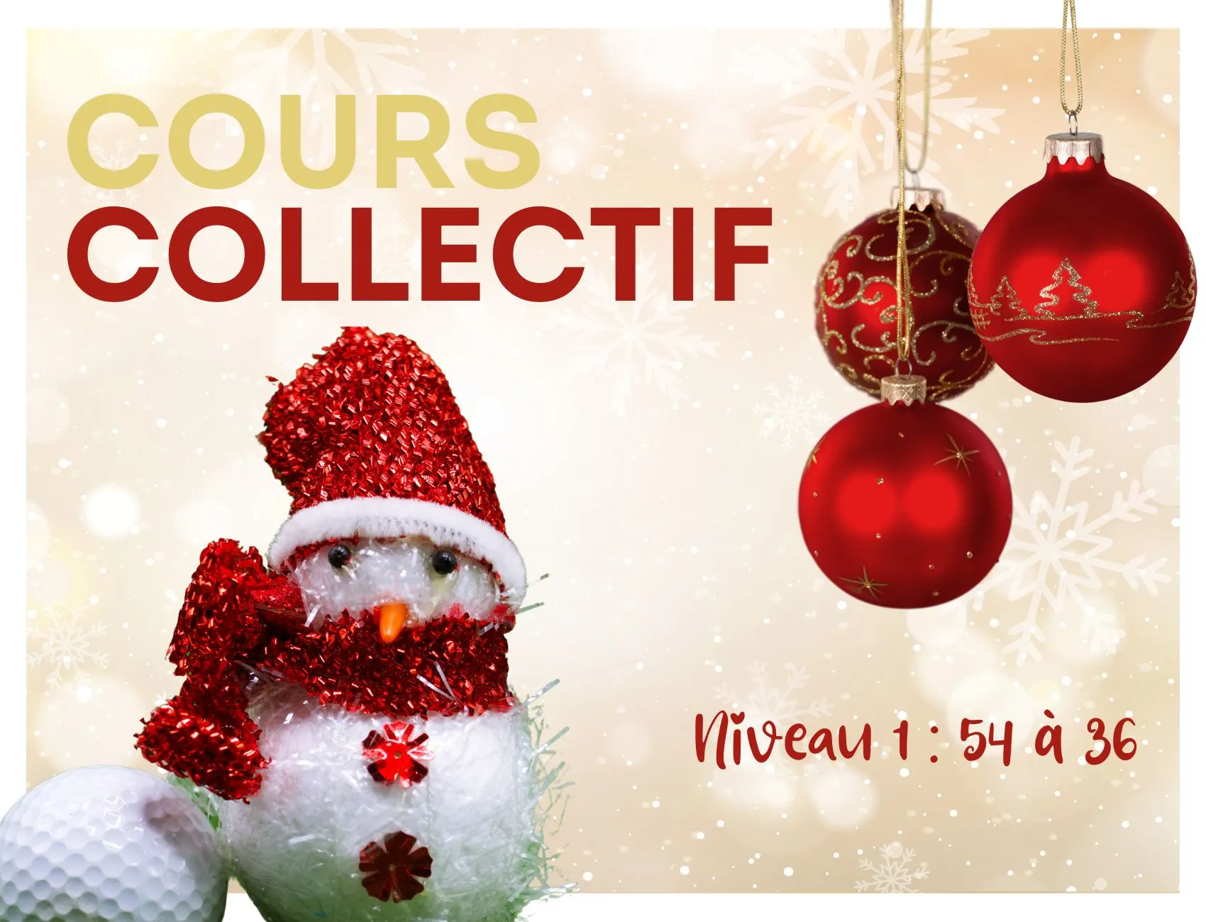 Cours Collectifs - Niveau 1 (index de 54 à 36)