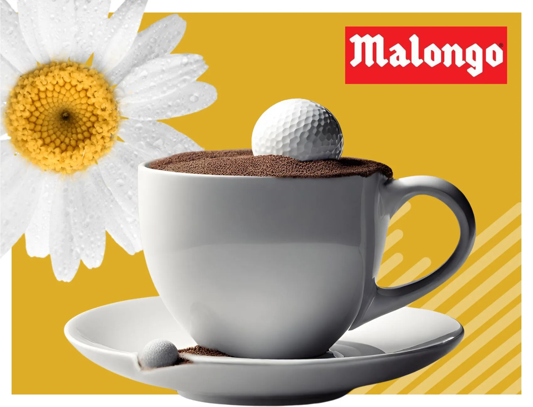 Malongo Golf Cup