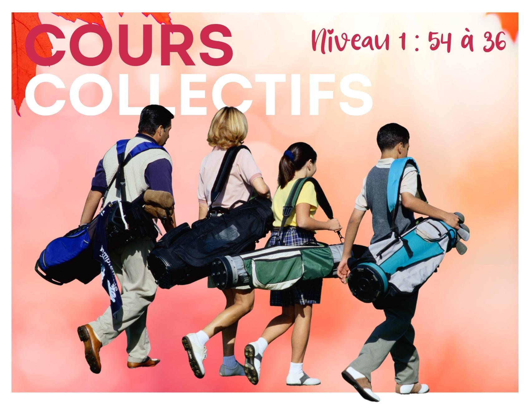 Lire Cours Collectifs – Niveau 1 (index supérieur à 36)